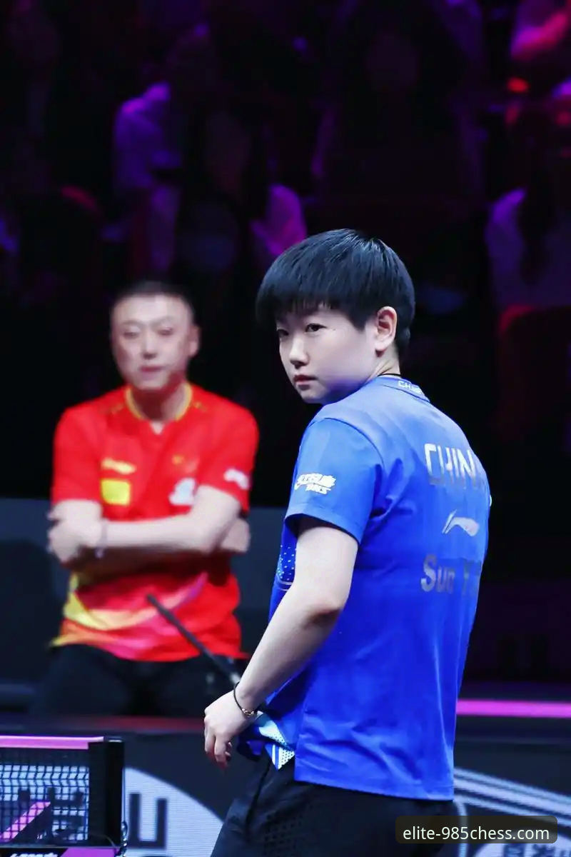 3个关键视角，深度解析WTT重庆冠军赛的“青春风暴”与竞技启示